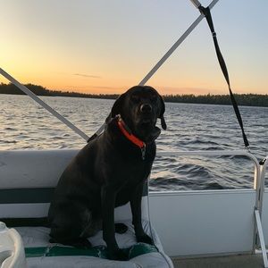 Meet your Posher, John